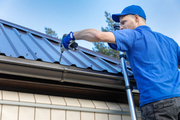 Best Solar Panel Roofing Installation  in New Madrid, MO